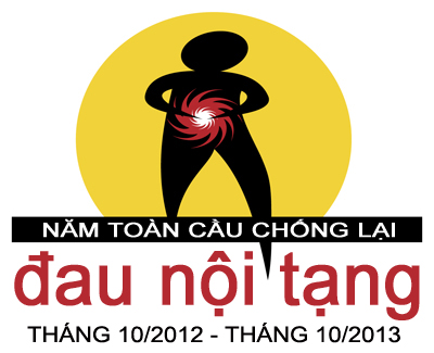 Chiến dịch Năm toàn cầu chống lại Đau nội tạng 2012-2013