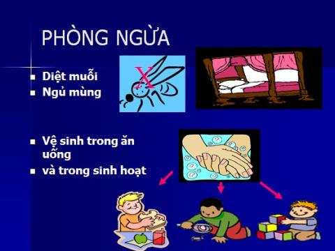 Những điều cần biết về viêm não Nhật Bản