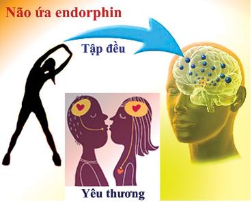 Thuốc phiện trời cho