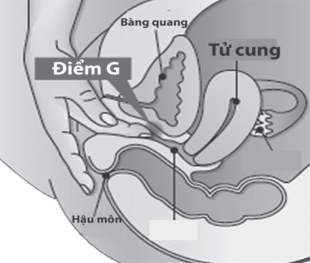 Điểm G – sự thật hay huyền thoại ?