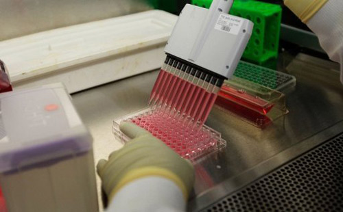 Bước tiến mới trong việc điều chế vắc xin chống HIV/AIDS