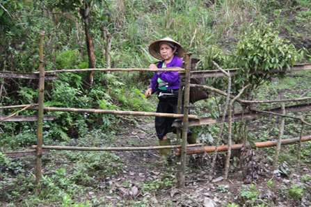 Thầy thuốc bản Mường