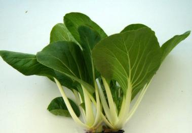 Cải bẹ trắng chữa nhức đầu