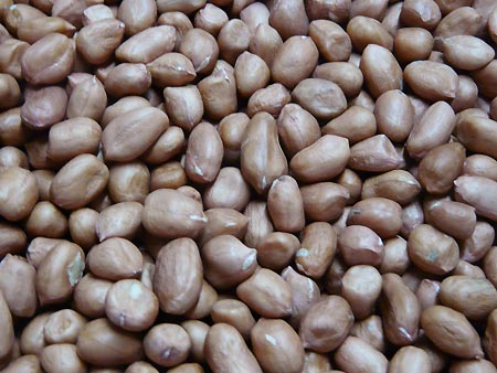 Hạt lạc chữa đau buốt lưng