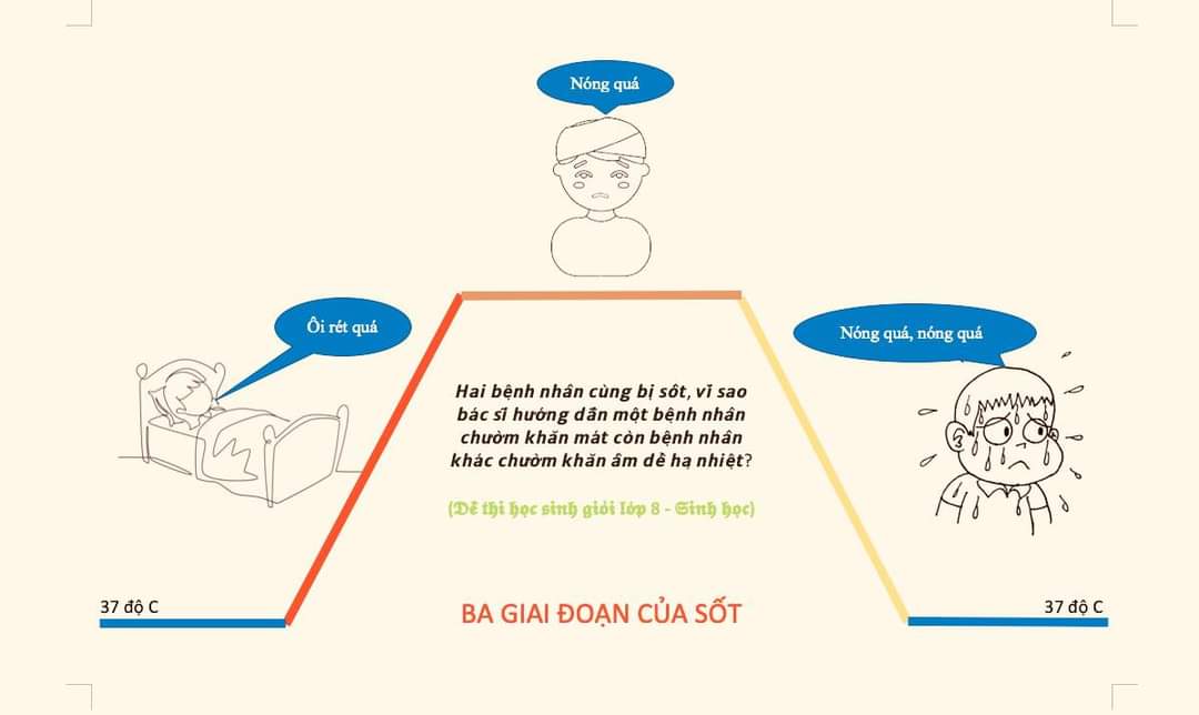 Ba-giai-doan-sot